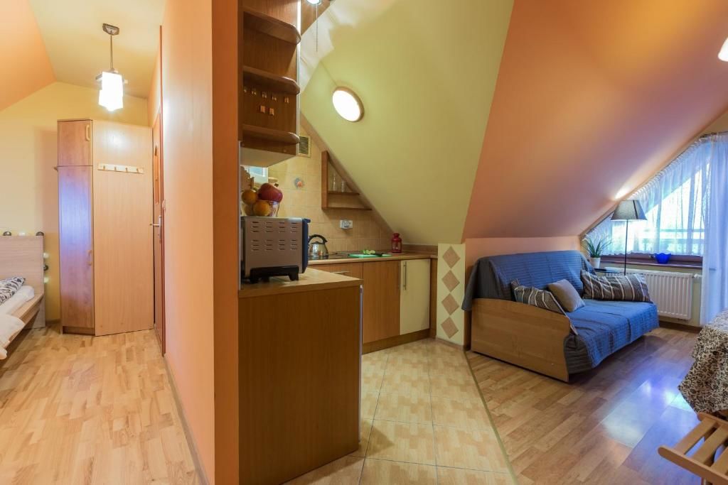 Апартаменты Apart-Styl Apartamenty Zakopane Закопане-124