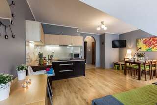 Апартаменты Apart-Styl Apartamenty Zakopane Закопане Апартаменты с 1 спальней и балконом-9