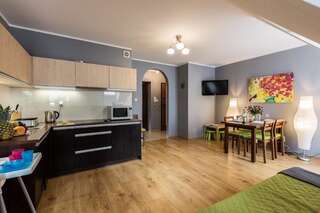 Апартаменты Apart-Styl Apartamenty Zakopane Закопане Апартаменты с 1 спальней и балконом-19