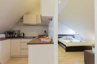 Апартаменты Apart-Styl Apartamenty Zakopane Закопане Апартаменты-студио-5