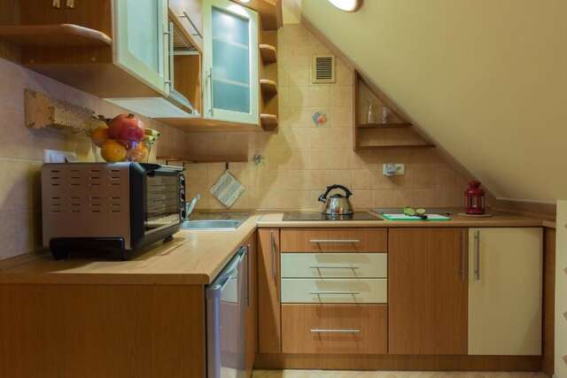 Апартаменты Apart-Styl Apartamenty Zakopane Закопане-115