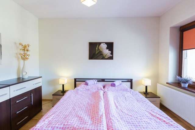 Апартаменты Apart-Styl Apartamenty Zakopane Закопане-86